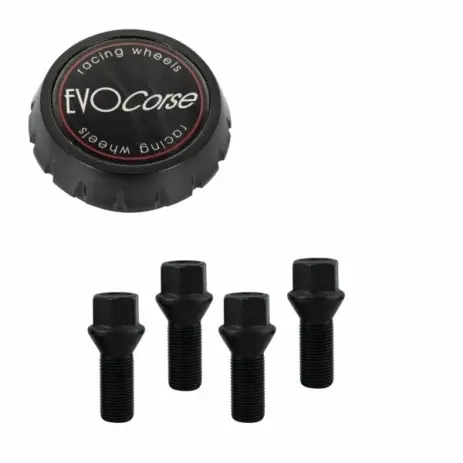 Petit Prix KIT VISSERIE 14X1.50 NOIR ET CACHE MOYEU (POUR UNE JANTE)