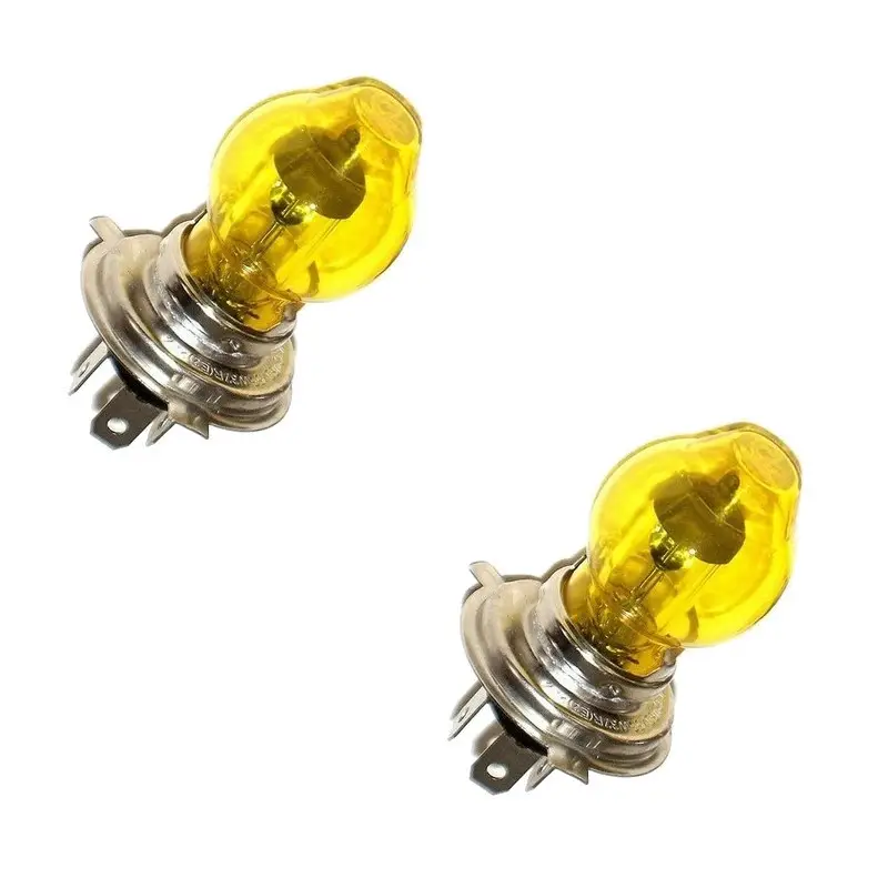 Expédition Rapide Jeu de 2 lampes H4 en 12 Volts 60/55 Watts avec ballon jaune