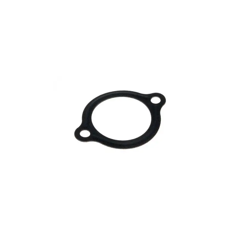 Marque Joint de thermostat de motorisation V8 pour Land Rover Séries III, Defender, Discovery et Range Rover Classic