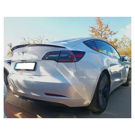 Aileron Tesla Model 3 Expédié Aujourd’hui