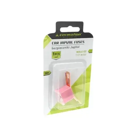Bon Marché Fusible JAPVAL TYPE 62 M 30A
