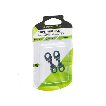 Fusibles ruban HSB 42x12 mm, 100A, 2 pièces Top Vente