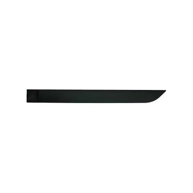 MOULURE DE PORTE ARRIERE GAUCHE FORD FOCUS (98-04) - 5 PORTES - NOIR Livraison Express