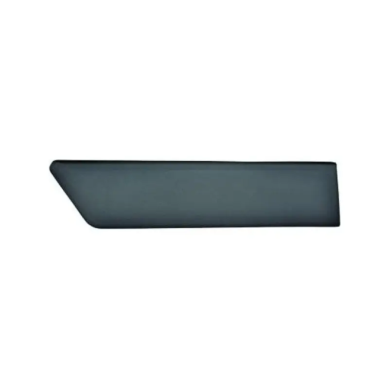 MOULURE DE PORTE ARRIERE GAUCHE FORD FIESTA (05-08) - 3 PORTES - NOIR Authentique
