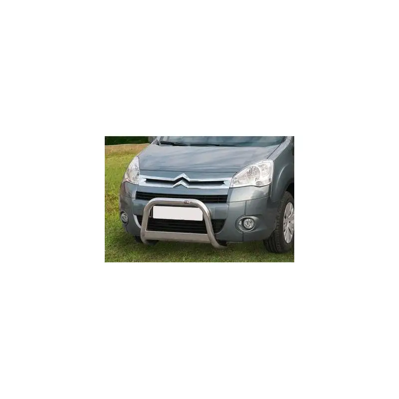 Achetez Aujourd’hui Pare buffle + marche pieds Citroën Berlingo 2008