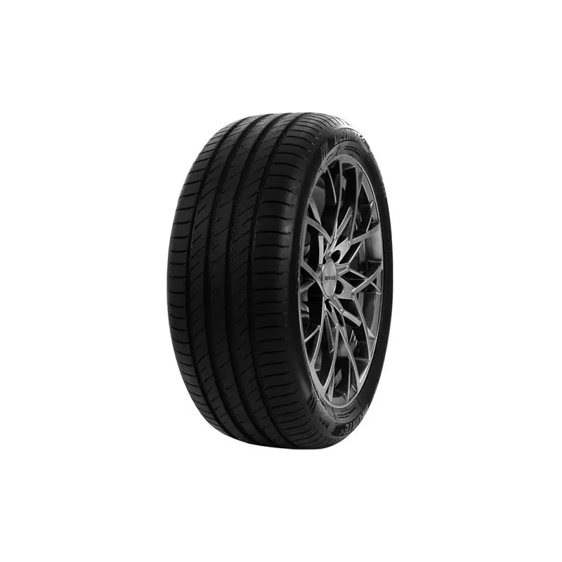 Expédition Rapide PNEU DELINTE DS2 245/50 ZR18 TL 100W DELINTE DS2